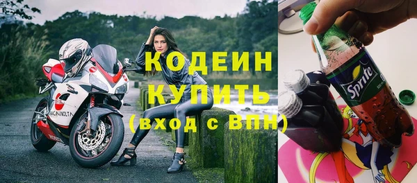 прущие грибы Балахна