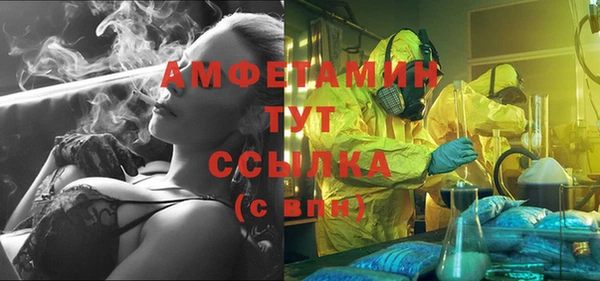 прущие грибы Балахна