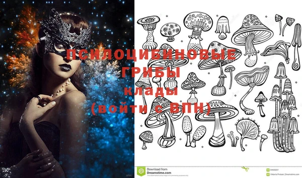 прущие грибы Балахна