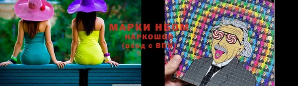 прущие грибы Балахна