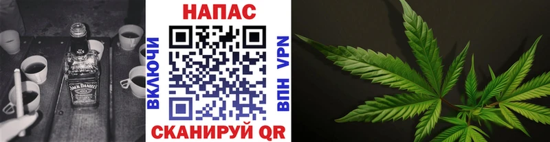 где купить наркотик  гидра зеркало  МАРИХУАНА тримм  Плёс 